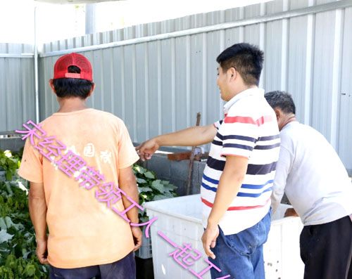 夏日來臨，當(dāng)你吹空調(diào)喊熱的時候，讓我?guī)阋黄鹱哌M(jìn)東楓園林體驗一下東楓人高溫下工作不一樣的夏日風(fēng)采
