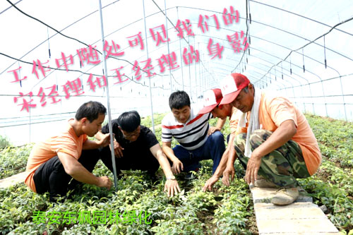 夏日來臨，當(dāng)你吹空調(diào)喊熱的時候，讓我?guī)阋黄鹱哌M(jìn)東楓園林體驗一下東楓人高溫下工作不一樣的夏日風(fēng)采