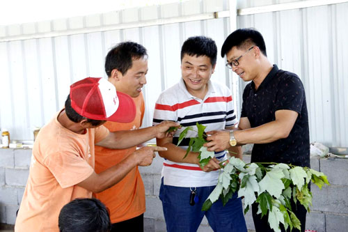 夏日來臨，當(dāng)你吹空調(diào)喊熱的時候，讓我?guī)阋黄鹱哌M(jìn)東楓園林體驗一下東楓人高溫下工作不一樣的夏日風(fēng)采